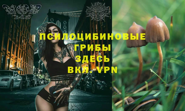 прущие крисы Нефтегорск